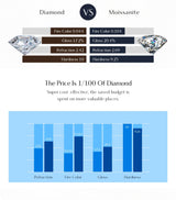 1CT Moissanite Pendant Necklace – 925 Sterling Silver Dainty Prong Setting Necklace for Women - Julie bags