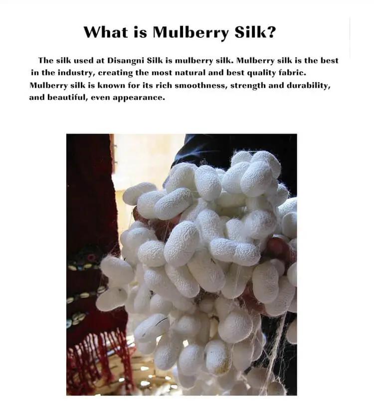 Silken Splendor: 100% Natural Mulberry Silk Pillowcase for Hair and Skin